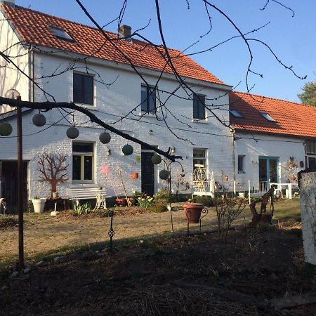 Slaaphuisje Het Vliegend Varken 헹크 외부 사진